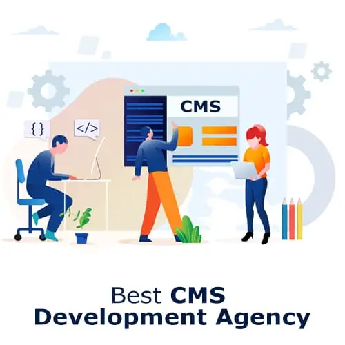 CMS Development Agency in Riyadh