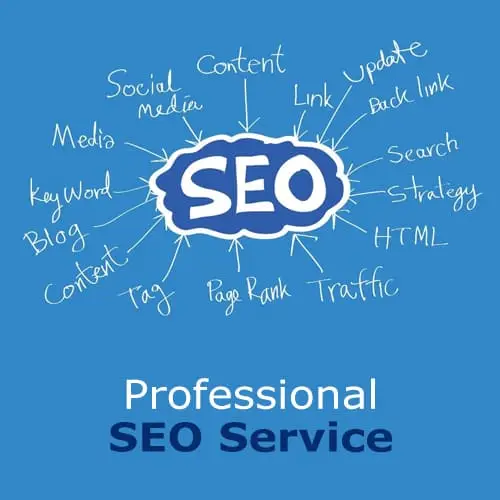 SEO Services Company in Indore